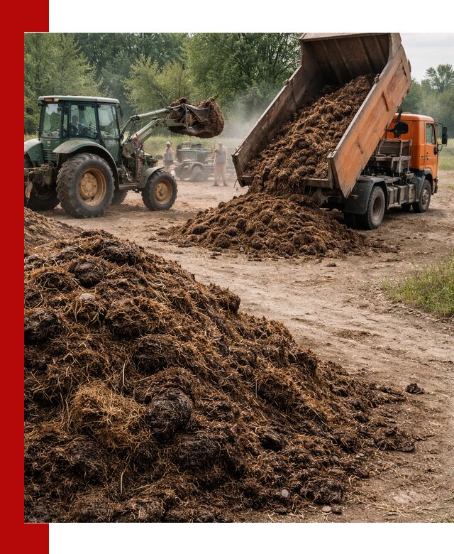 Доставка навоза самосвалами в Черемхове для сельхозпотребностей